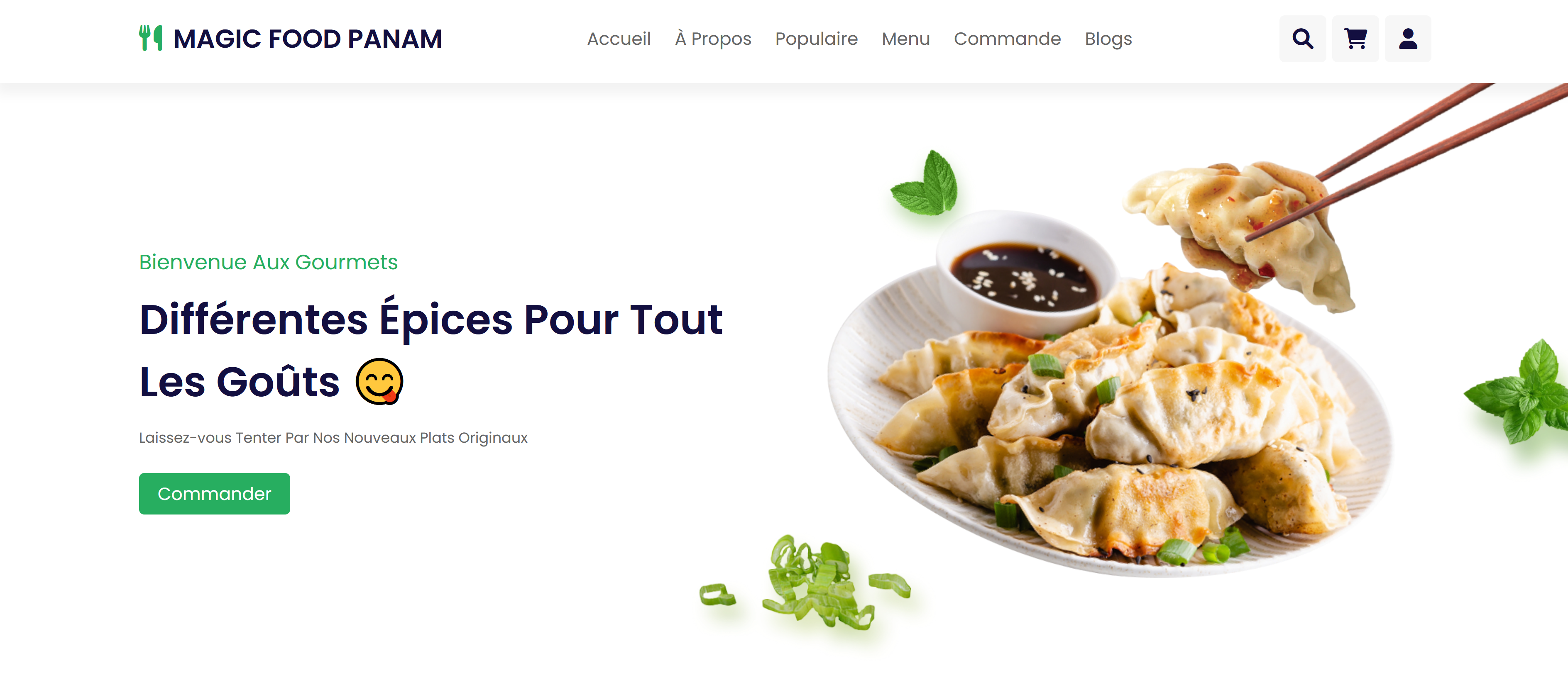 Aperçu du site Magic Food Panam